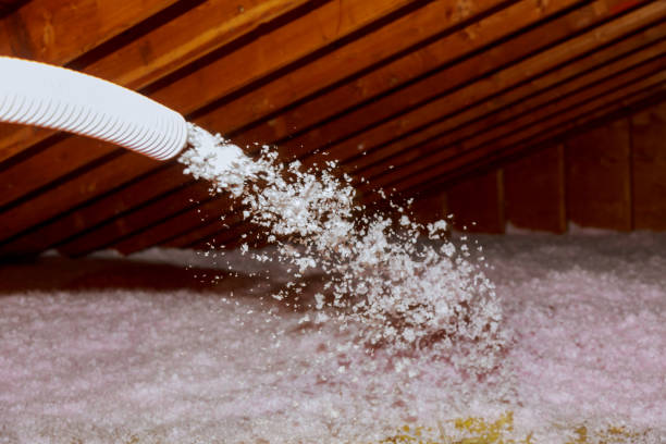 Best Wall Insulation Contractor  in Fairbury, NE