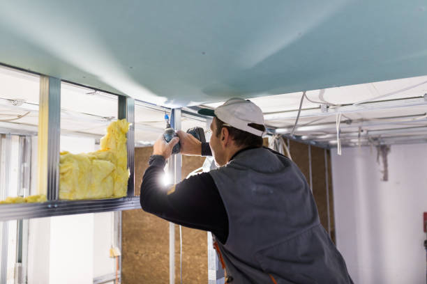 Best Local Insulation Services  in Fairbury, NE