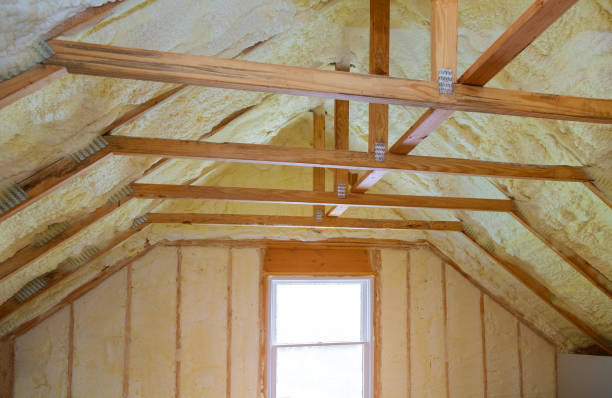 Best Garage Insulation Installation  in Fairbury, NE