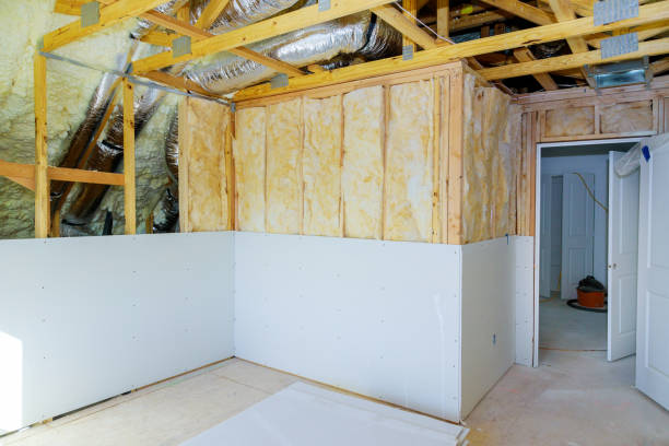 Best Insulation Repair Services  in Fairbury, NE