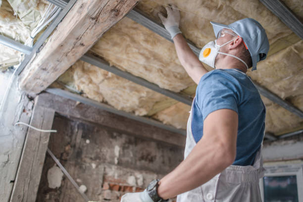 Best Attic Insulation Installation  in Fairbury, NE