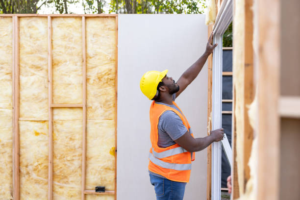 Best Professional Insulation Contractor  in Fairbury, NE
