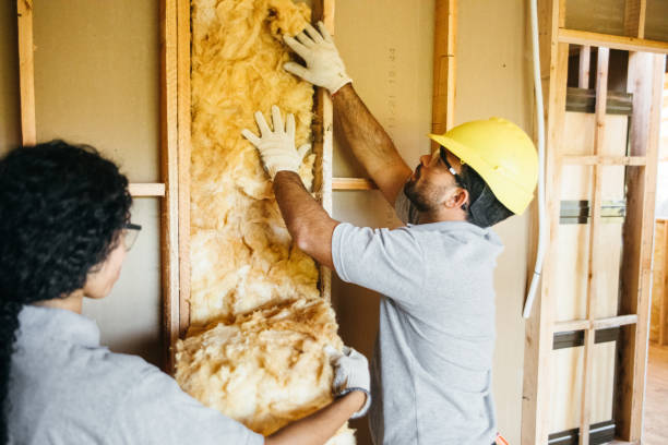 Insulation Contractors for Homes in Fairbury, NE