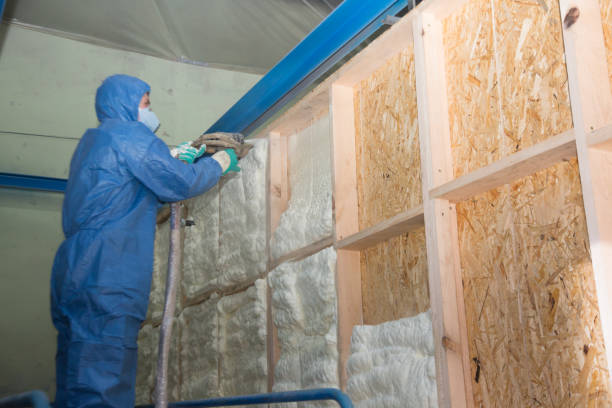 Best Local Insulation Services  in Fairbury, NE