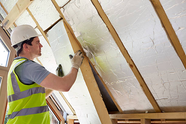 Best Insulation Removal  in Fairbury, NE