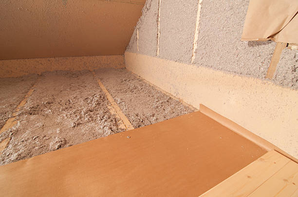 Best Insulation Inspection Services  in Fairbury, NE